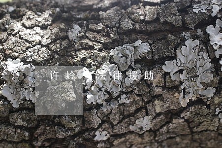 许岭 法律援助 许岭 法律援助